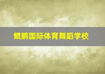 鲲鹏国际体育舞蹈学校