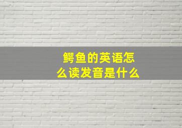 鳄鱼的英语怎么读发音是什么