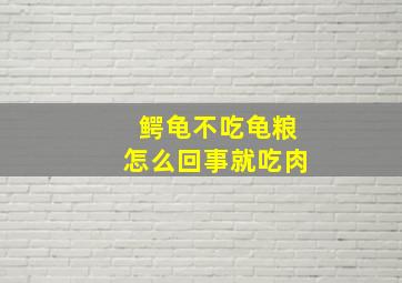 鳄龟不吃龟粮怎么回事就吃肉