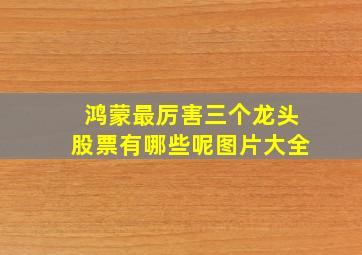 鸿蒙最厉害三个龙头股票有哪些呢图片大全