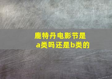 鹿特丹电影节是a类吗还是b类的