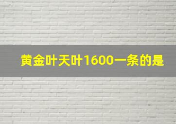 黄金叶天叶1600一条的是