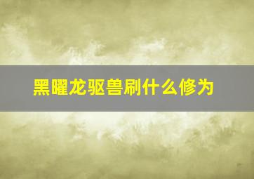 黑曜龙驱兽刷什么修为