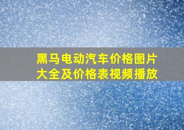 黑马电动汽车价格图片大全及价格表视频播放