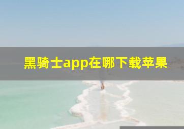 黑骑士app在哪下载苹果