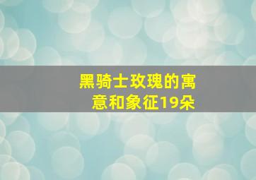 黑骑士玫瑰的寓意和象征19朵