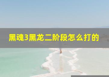 黑魂3黑龙二阶段怎么打的