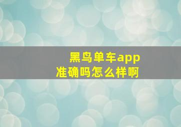 黑鸟单车app准确吗怎么样啊