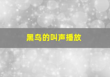 黑鸟的叫声播放