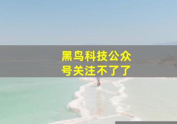 黑鸟科技公众号关注不了了