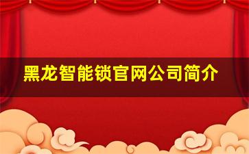 黑龙智能锁官网公司简介