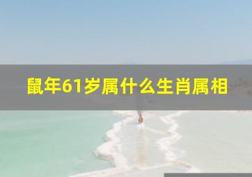 鼠年61岁属什么生肖属相