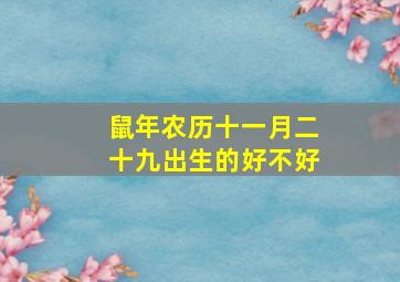 鼠年农历十一月二十九出生的好不好