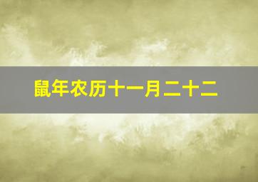 鼠年农历十一月二十二