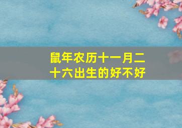 鼠年农历十一月二十六出生的好不好