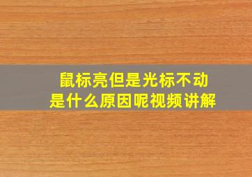 鼠标亮但是光标不动是什么原因呢视频讲解