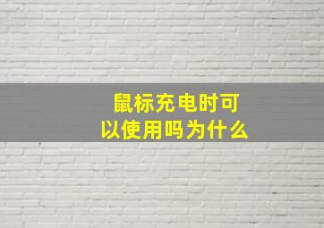 鼠标充电时可以使用吗为什么