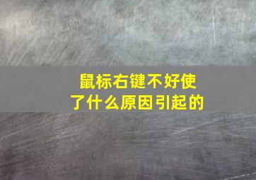 鼠标右键不好使了什么原因引起的