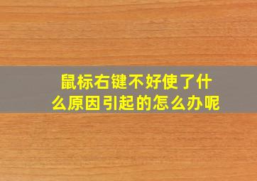 鼠标右键不好使了什么原因引起的怎么办呢