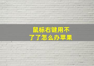 鼠标右键用不了了怎么办苹果