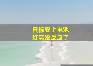 鼠标安上电池灯亮没反应了