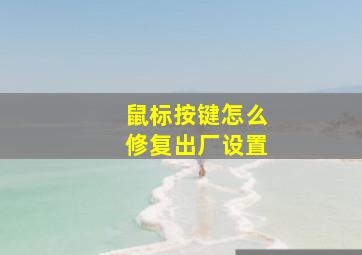 鼠标按键怎么修复出厂设置