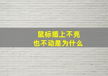 鼠标插上不亮也不动是为什么