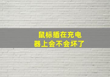 鼠标插在充电器上会不会坏了