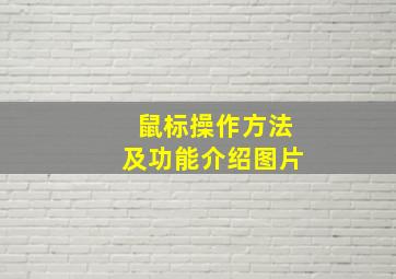 鼠标操作方法及功能介绍图片