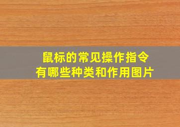 鼠标的常见操作指令有哪些种类和作用图片