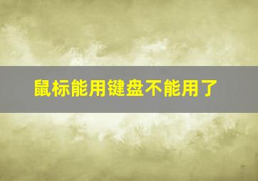 鼠标能用键盘不能用了