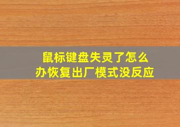 鼠标键盘失灵了怎么办恢复出厂模式没反应