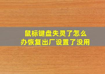 鼠标键盘失灵了怎么办恢复出厂设置了没用