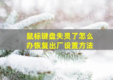 鼠标键盘失灵了怎么办恢复出厂设置方法