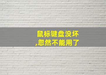 鼠标键盘没坏,忽然不能用了