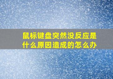 鼠标键盘突然没反应是什么原因造成的怎么办