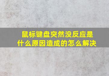 鼠标键盘突然没反应是什么原因造成的怎么解决