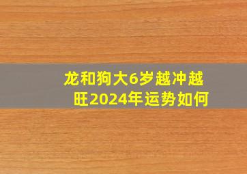 龙和狗大6岁越冲越旺2024年运势如何