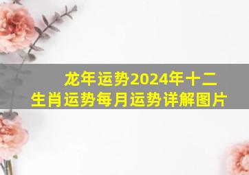 龙年运势2024年十二生肖运势每月运势详解图片