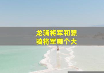 龙骑将军和骠骑将军哪个大