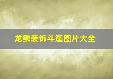 龙鳞装饰斗篷图片大全