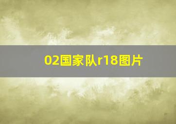 02国家队r18图片