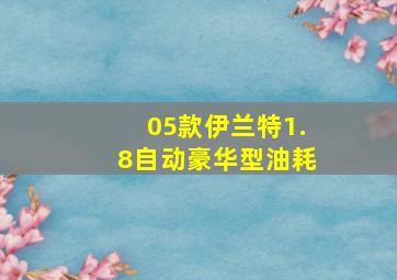 05款伊兰特1.8自动豪华型油耗