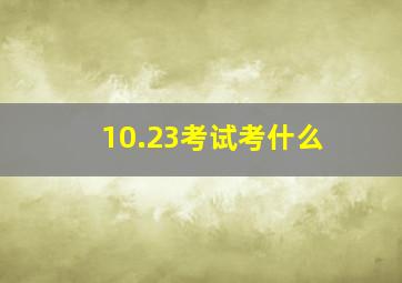 10.23考试考什么