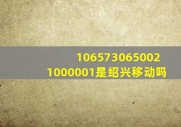 1065730650021000001是绍兴移动吗