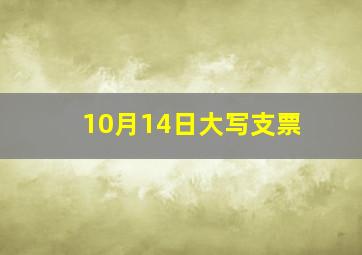 10月14日大写支票