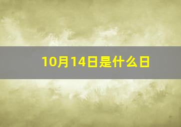 10月14日是什么日