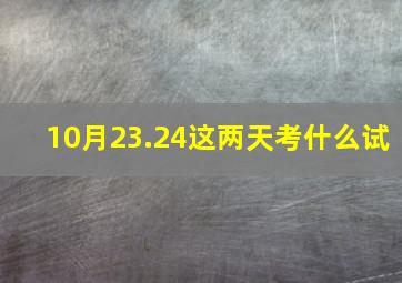 10月23.24这两天考什么试