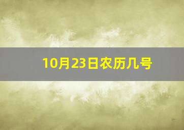 10月23日农历几号