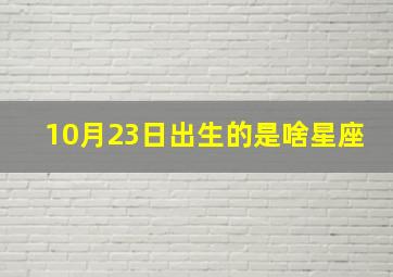 10月23日出生的是啥星座